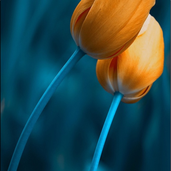 Sweaters - Cable kint sweater comfy sexy long sleeves